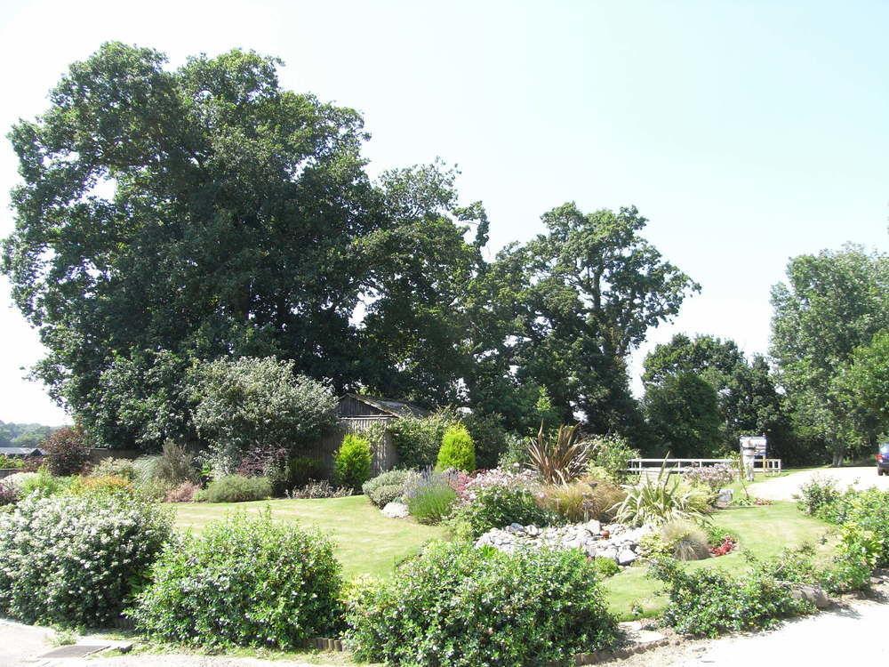 Wayford Bridge Inn Hotel Stalham Luaran gambar